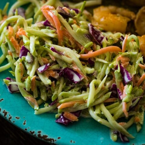 a plate of colorful coleslaw