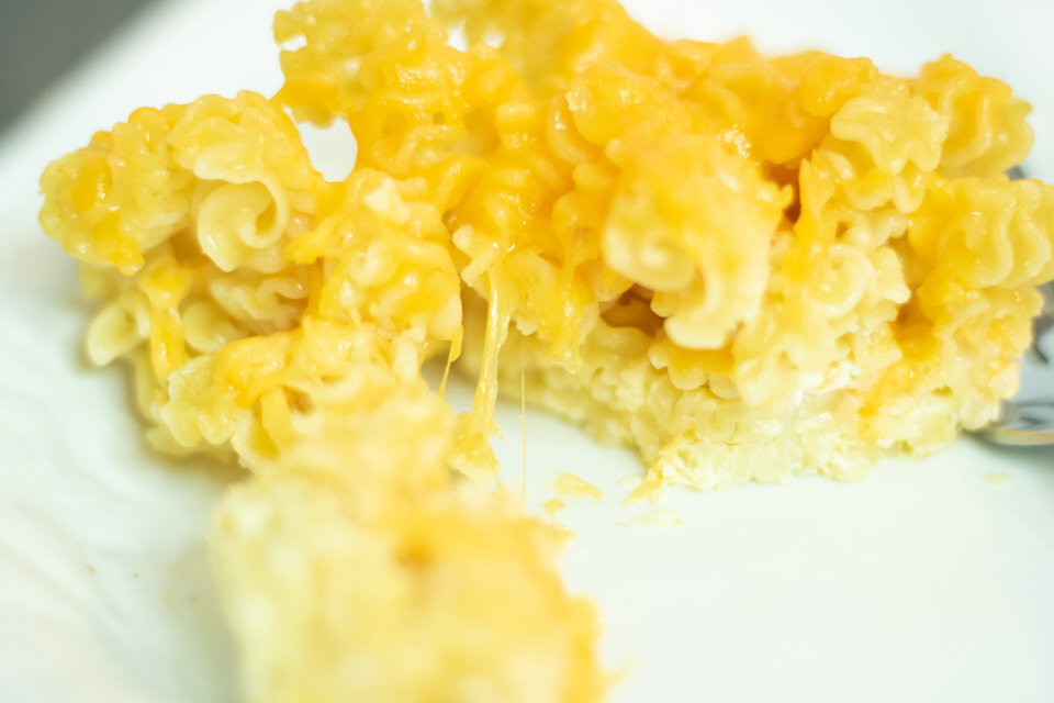 closeup of macaroni and cheese
