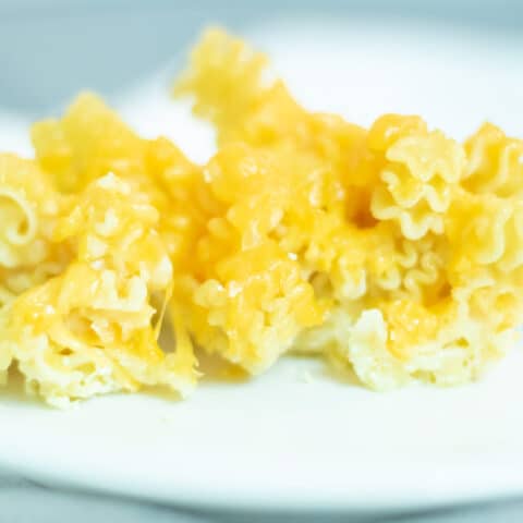 macaroni and cheese on a white plate