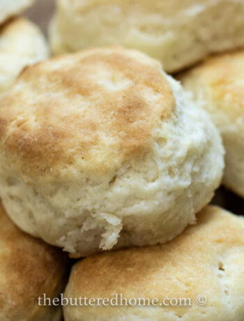 close up of homemade biscuits