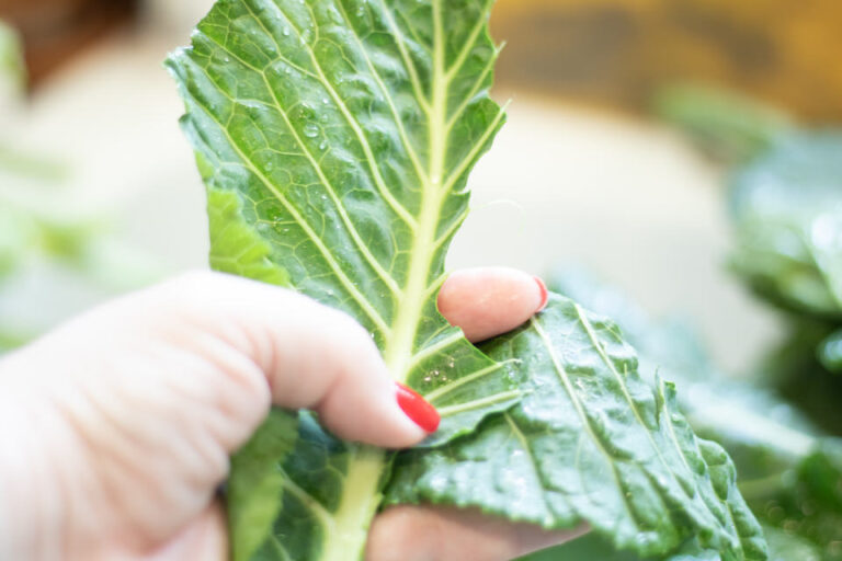 Collard Greens in the Instant Pot The Buttered Home