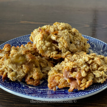 oatmeal cookies on a blue willow patterned plate