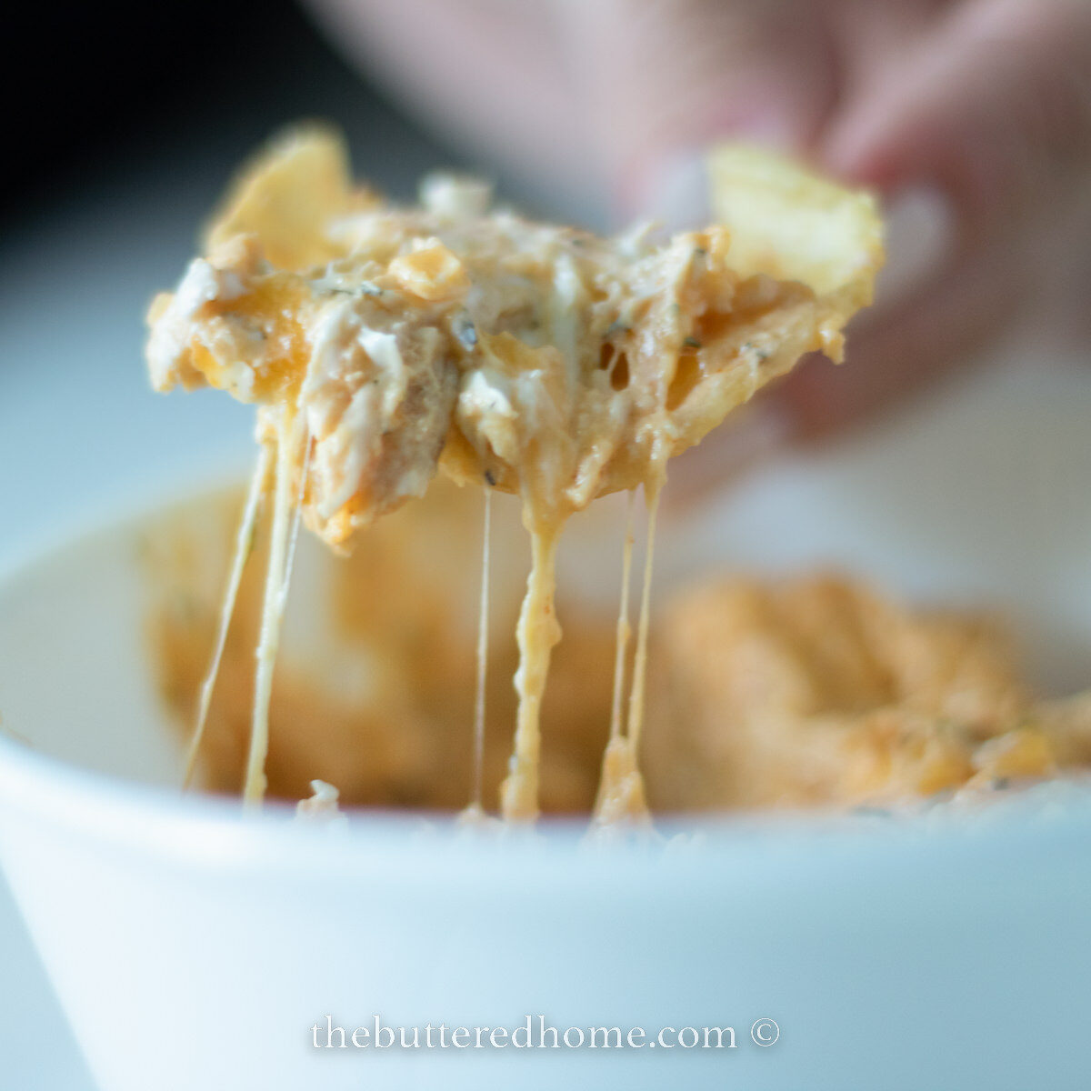 Buffalo chicken dip scoop in a white bowl feature