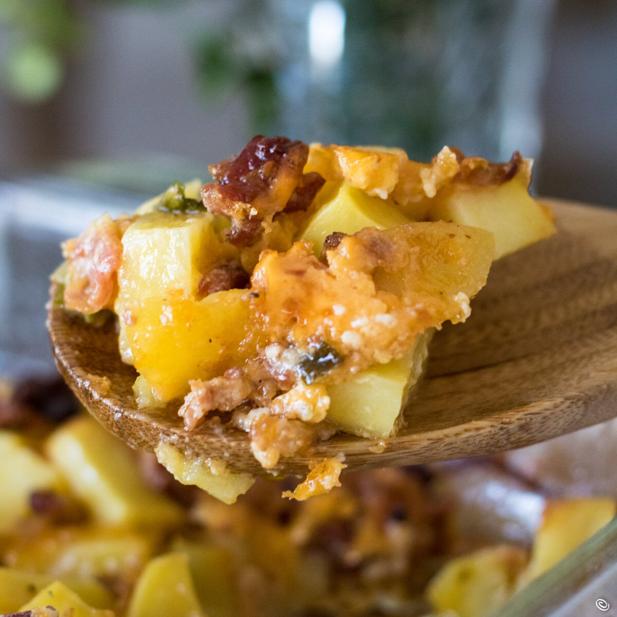 spoonful of potato casserole feature