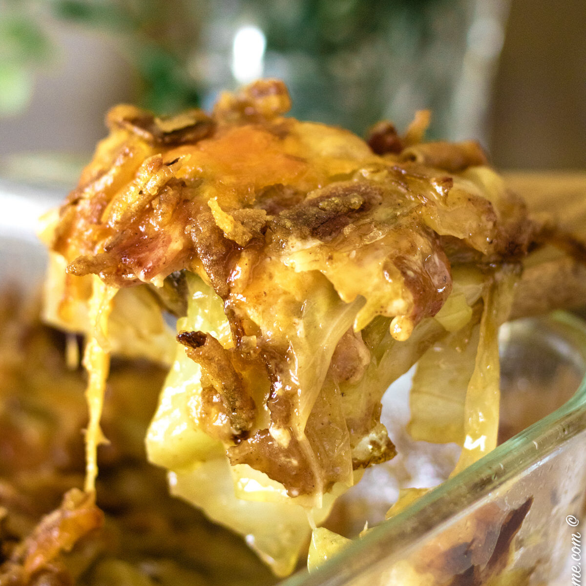 spoon full of cabbage casserole feature
