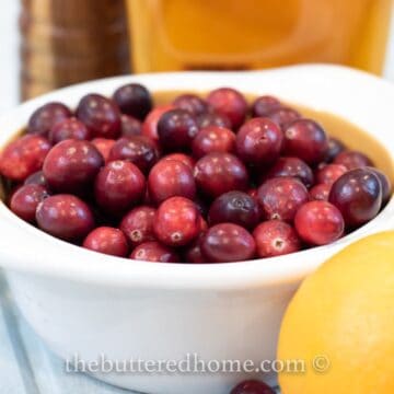 Homemade Cranberry Sauce feature