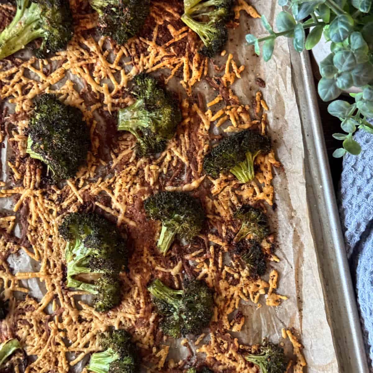 Sheet pan of broccoli chips. Feature image.