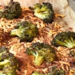 Broccoli chips before breaking apart.