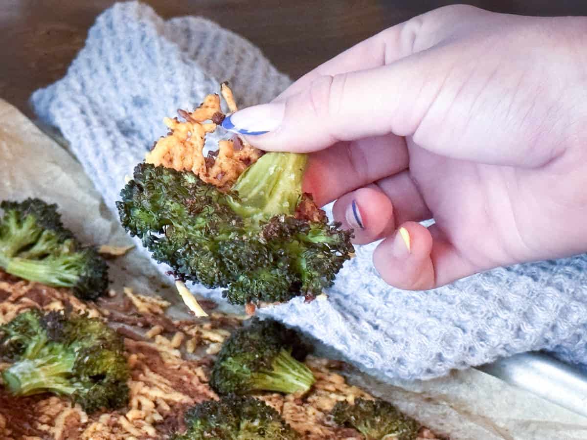 Holding a broccoli chip with a towel in the background.