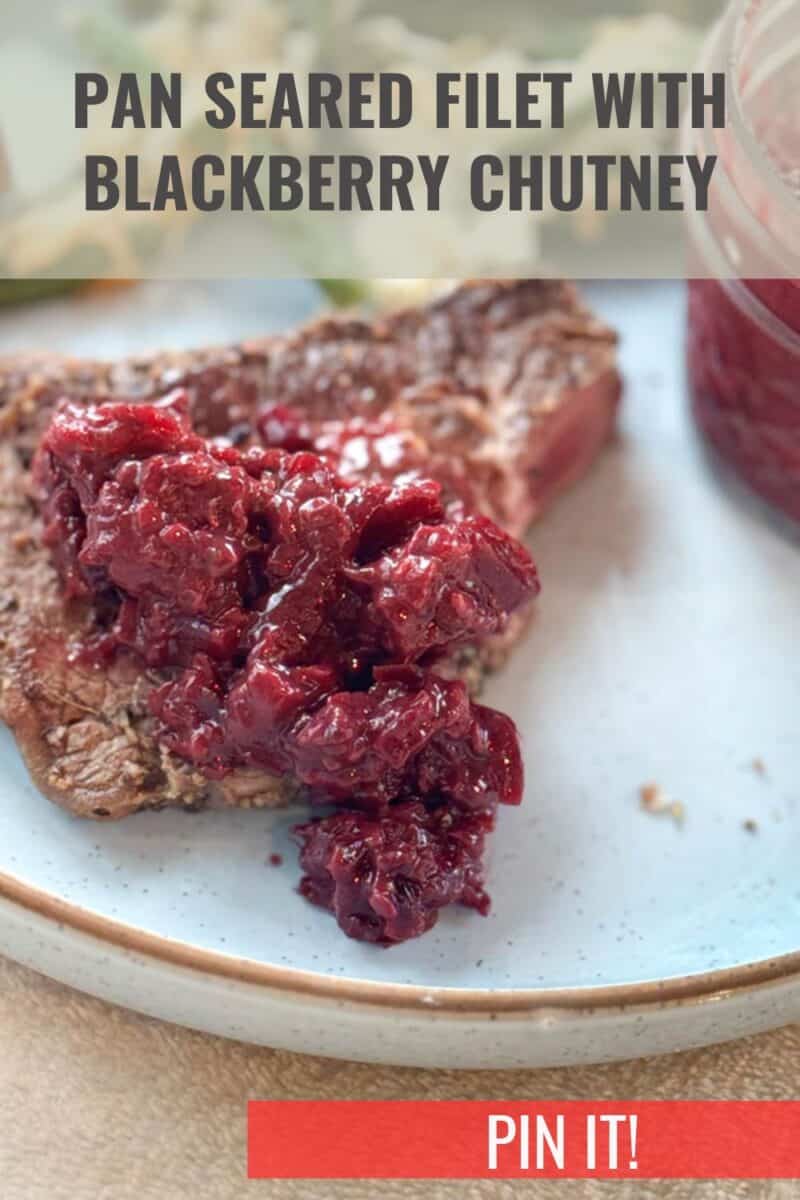 A close-up of a pan-seared filet topped with blackberry chutney on a plate. The title "PAN SEARED FILET WITH BLACKBERRY CHUTNEY" is overlaid on the image, and a "PIN IT!" button is visible at the bottom.