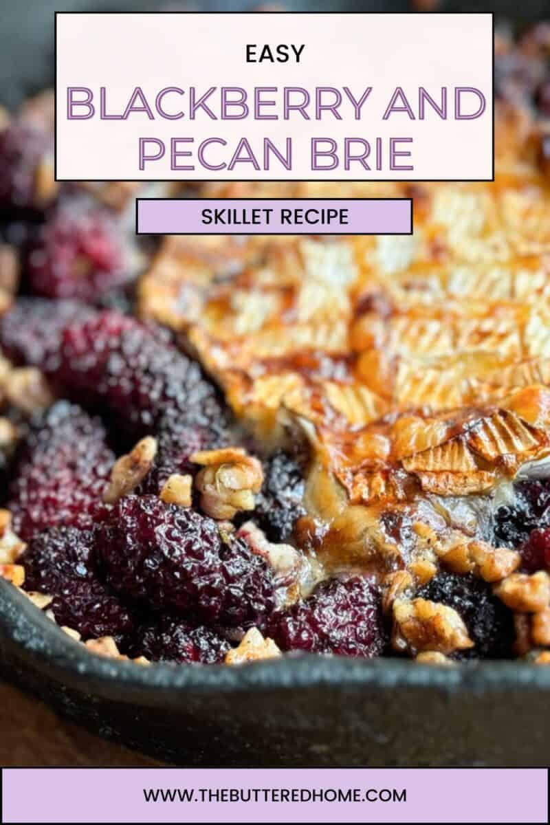 Close-up image of a skillet filled with melted brie cheese, blackberries, and pecans. The text on the image reads "Easy Blackberry and Pecan Brie Skillet Recipe" and a website URL is shown at the bottom.