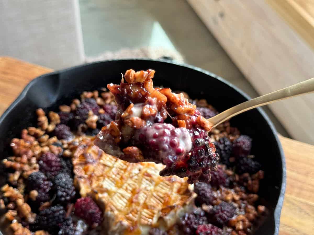A close-up of a spoonful of blackberry cobbler with pecans being held above a skillet containing more of the dessert. The cobbler has a golden-brown crust and is topped with fresh blackberries and pecans.