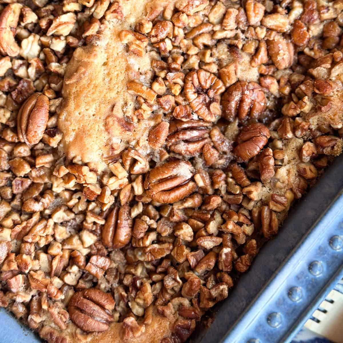 Close-up of a baked dessert topped with a generous layer of pecans. The nuts vary in size, some whole and some chopped, creating a textured surface. The dessert is in a metal baking tray.