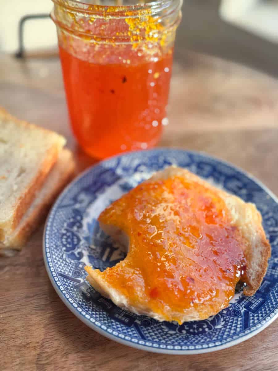 A blue and white plate holds a piece of bread covered with orange marmalade. The bread has a bite taken out of it. In the background, there's a jar of orange marmalade and another piece of plain bread on a wooden surface.