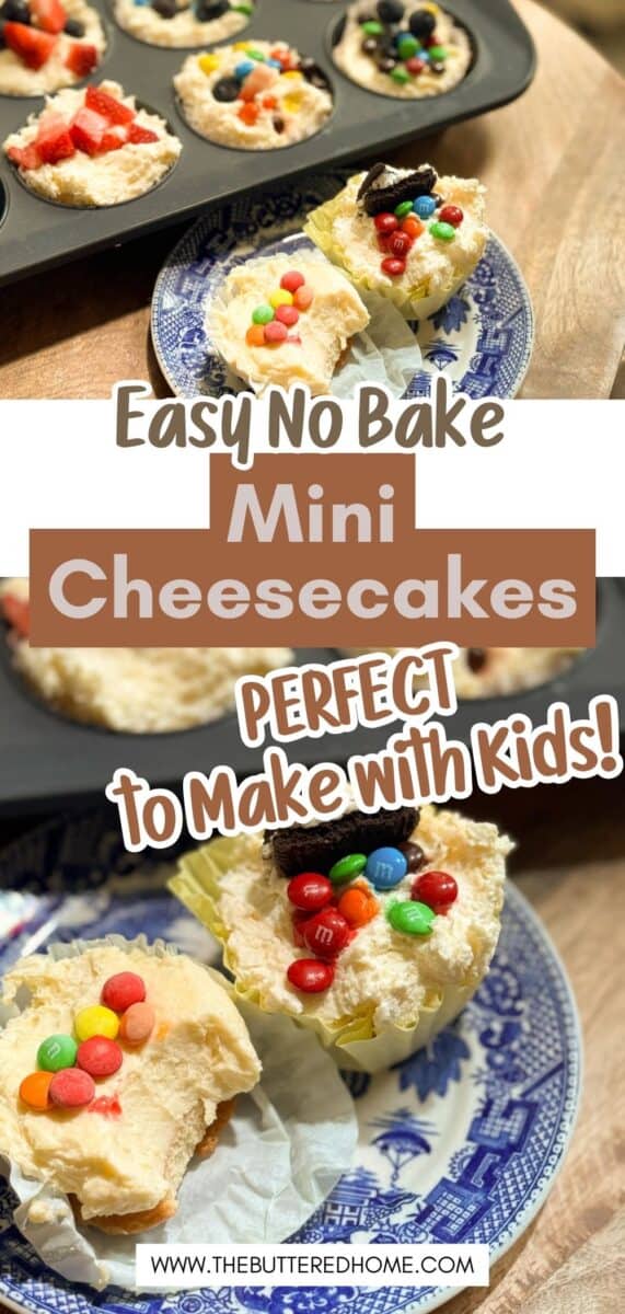 A blue and white plate holds a mini cheesecake topped with colorful candies. Other cheesecakes in a muffin tin and on plates are visible. Text reads: "Easy No Bake Mini Cheesecakes. Perfect to Make with Kids!.
