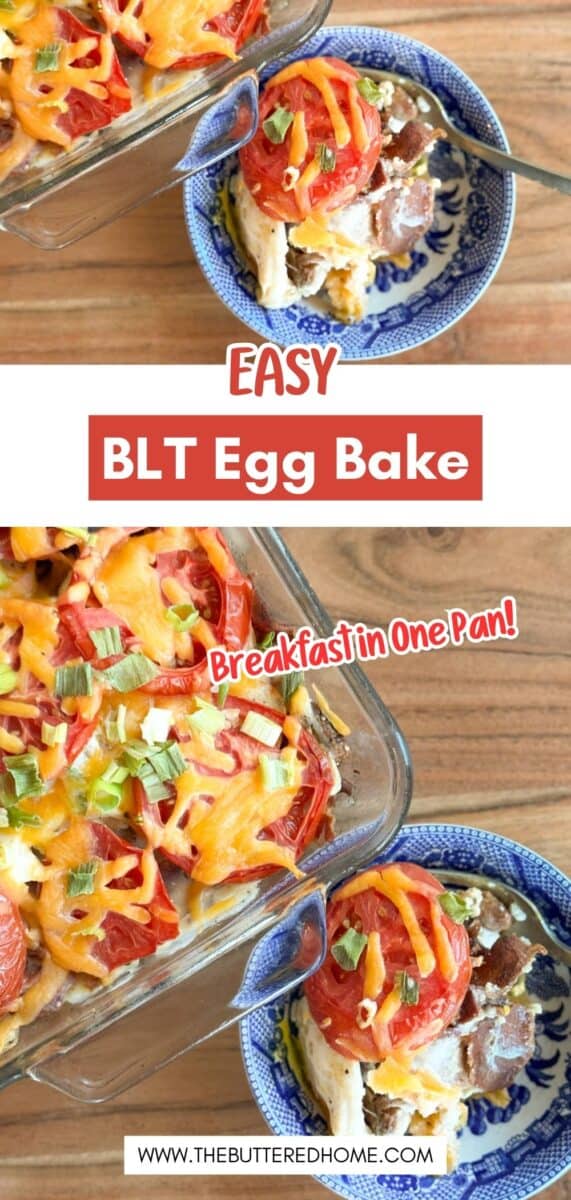 A glass baking dish filled with a BLT egg bake topped with sliced tomatoes, melted cheese, and chopped green onions sits next to a blue-patterned bowl containing a serving of the dish and a fork.