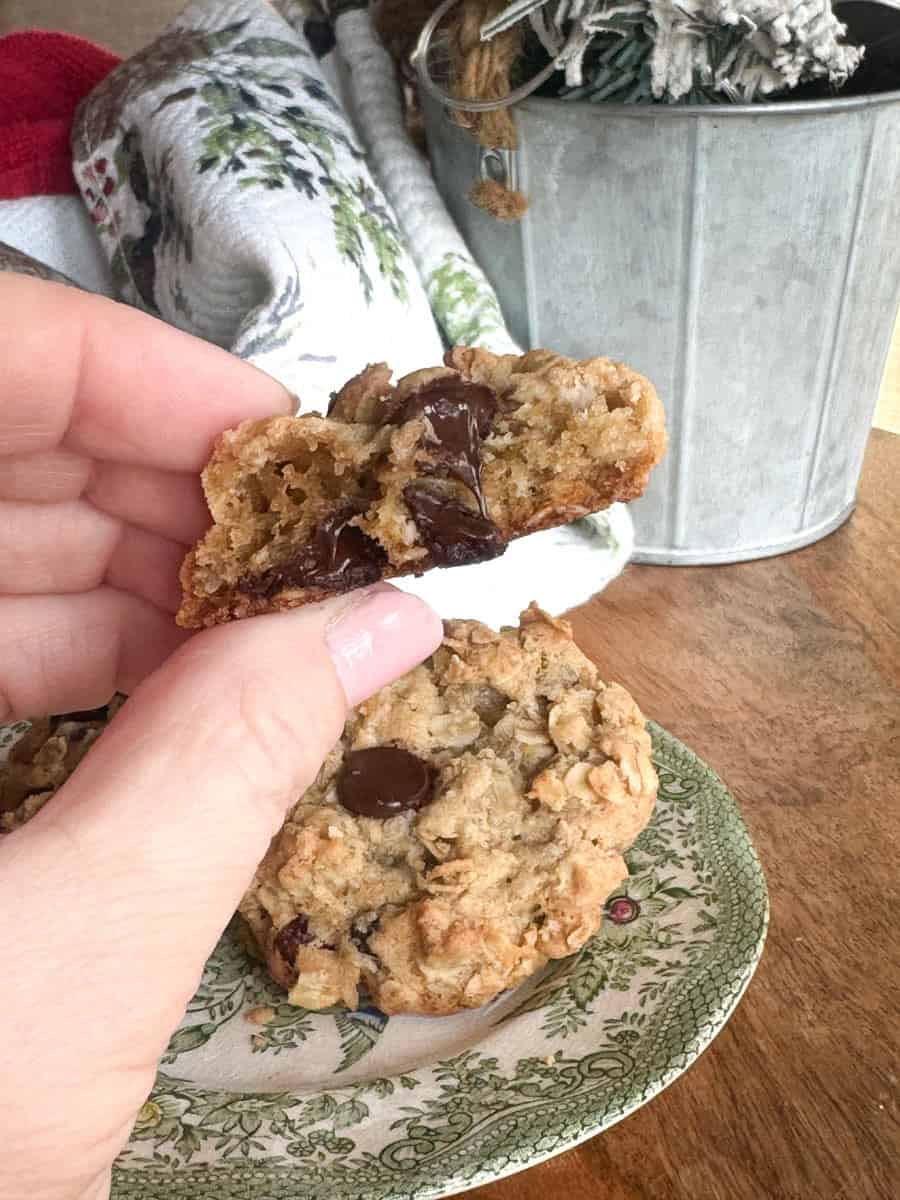 A hand holds a half-broken oatmeal chocolate chip cookie above a green patterned plate with another cookie on it. A potted plant and a patterned cloth are in the background.